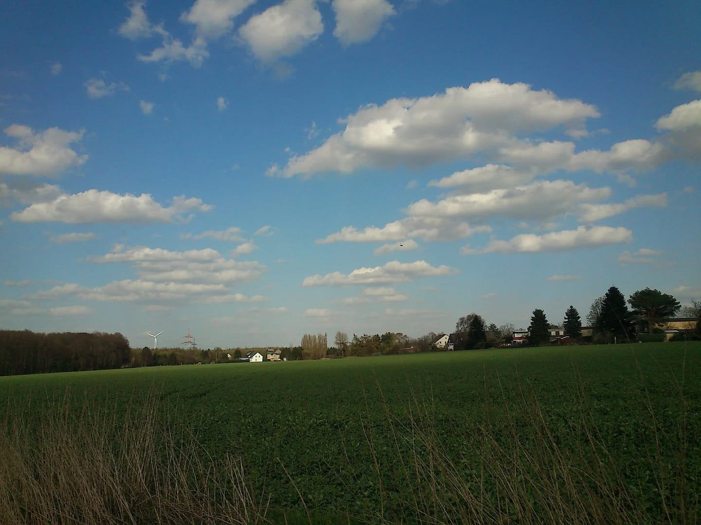 Weites grünes Feld unter blauem Himmel mit Schäfchenwolken, am Horizont ein Waldrand, einzelne Wohnhäuser und ein Windrad.